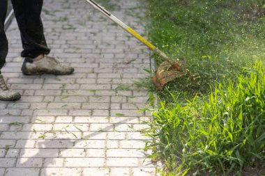 Bahçesindeki çimleri biçen bir adam. Bahçıvan çimleri biçiyor. Yaşam biçimi
