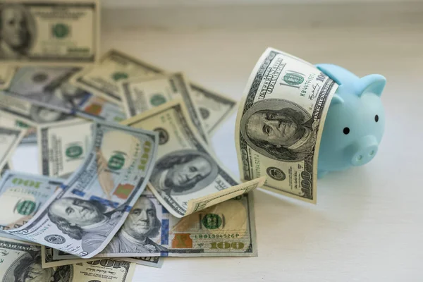 Biznes Finanse Inwestycje Oszczędności Koncepcja Korupcja Bliska Dolar Pieniądze Piggy — Zdjęcie stockowe