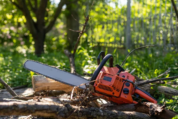 Close-up professional chainsaw blade cutting log of wood.