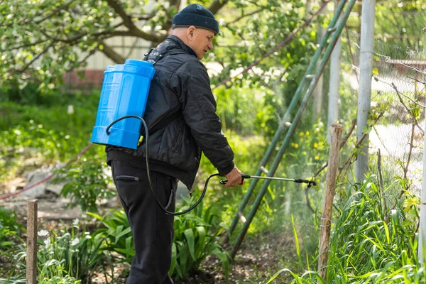 Rolnik Opryskujący Zielone Rośliny Roślinne Ogrodzie Herbicydami Pestycydami Lub Insektycydami — Zdjęcie stockowe