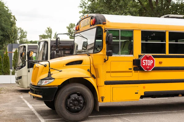 School Bus Transport Schoolbus — Foto de Stock