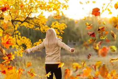 Beautiful girl walking outdoors in autumn. Smiling girl collects yellow leaves in autumn. Young woman enjoying autumn weather. High quality photo