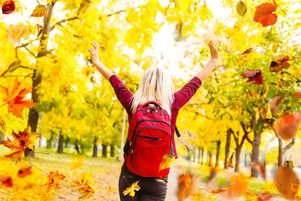 Outdoor Fashion Photo Young Beautiful Lady Surrounded Autumn Leaves High — Fotografia de Stock