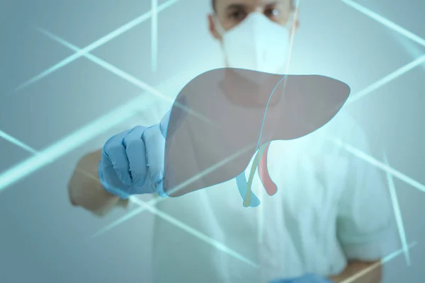 male doctor touches virtual Liver in hand. Blurred photo, handrawn human organ, highlighted red as symbol of disease. Healthcare hospital service concept stock photo