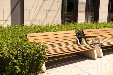 A modern bench in a city park on a sunny day. City improvement, urban planning, public spaces