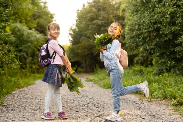 Дві Милі Усміхнені Річні Дівчата Позують Разом Парку Сонячний Осінній — стокове фото
