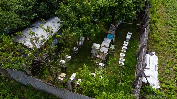Apiary House Garden Aerial View — ストック写真