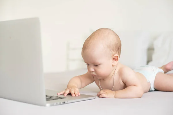 Baby with laptop on the white background.