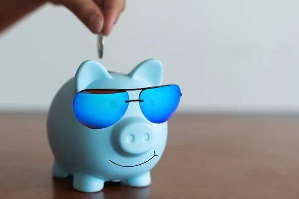 piggy bank in sunglasses, money, vacation