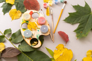 Colors of autumn abstract with paint brush and leaves. High quality photo