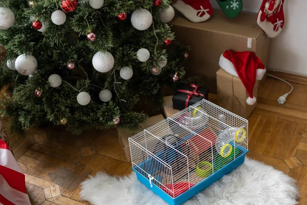 Hamster Cage Christmas Tree — Stock fotografie
