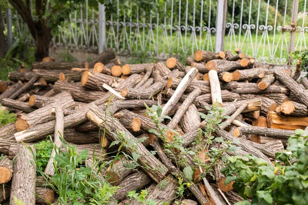 Felling a tree. Wooden logs from a pine forest, stacked in a forest. Forest of pine and spruce. Logging, logging, forest industry. Natural wood background. A pile of logs. Deforestation.