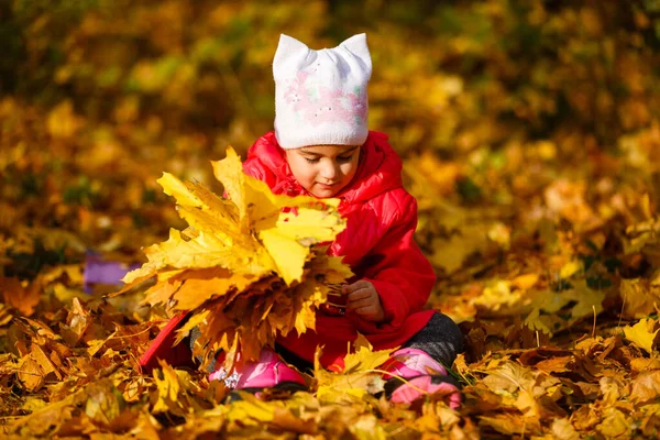 Чарівна Маленька Дівчинка Осіннім Листям Парку Краси — стокове фото