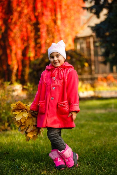 Чарівна Маленька Дівчинка Осіннім Листям Парку Краси — стокове фото