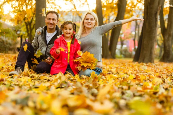 秋の公園で家族の黄金葉します — ストック写真