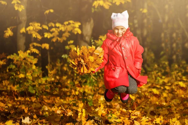 Молода Дочка Грає Осінньому Парку — стокове фото