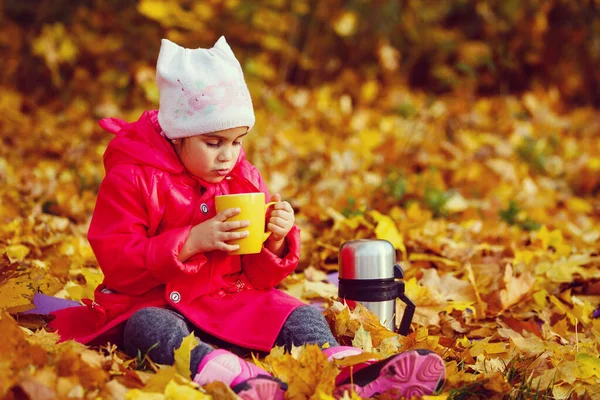Маленька Дівчинка Чай Осінньому Парку — стокове фото