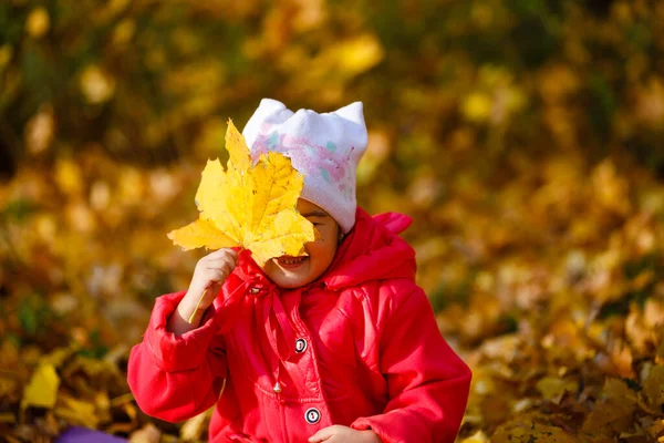 Щаслива Маленька Дитина Дівчинка Сміється Грає Восени Природі Гуляє Відкритому — стокове фото