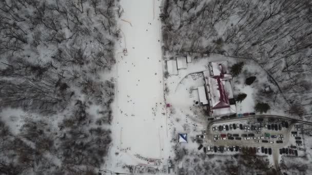 Skisport Wintersneeuw Bomen Het Bos Bedekt Met Show Koude Winter — Stockvideo