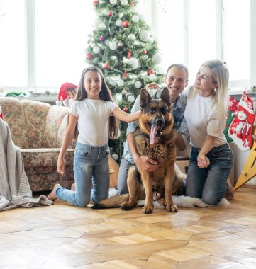 Mutlu Noeller ve mutlu yıllar. Köpekli mutlu aile evde güzel bir Noel ağacının yanında oturmuş yeni yılı bekliyor.