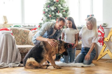 Dostu aile ile Noel ağacı yakınındaki köpek oynuyor. Onlar oturan ve gülüyor.