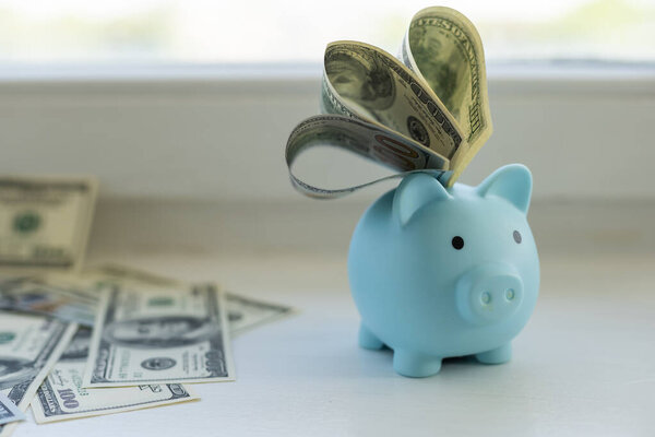 бизнес, финансы, инвестиции, сбережения и коррупция - закрытие долларовых наличных денег и банка поросят на столе
.