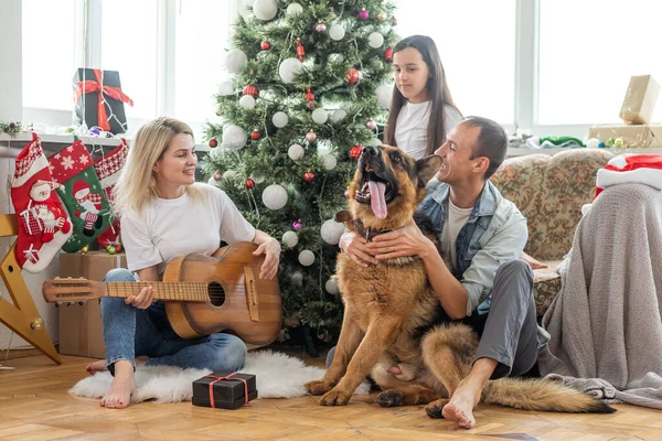 Christmas Family Portrait Home Holiday Living Room Kid Dog Play — Fotografia de Stock