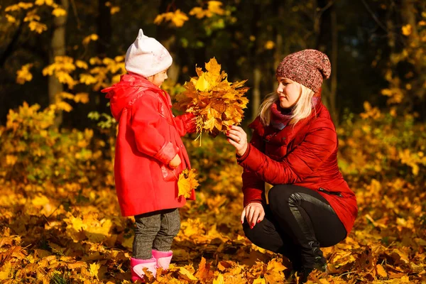 Fiatal Anya Kislányával Egy Őszi Parkban — Stock Fotó