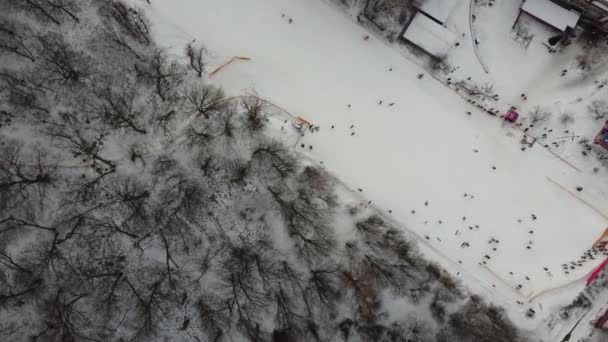 Deportes Esquí Nieve Invierno Árboles Bosque Cubiertos Espectáculo Frío Clima — Vídeo de stock