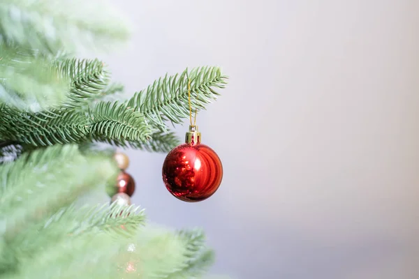 Interior Christmas Magic Tree Gifts — Foto de Stock