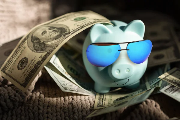 Piggy Bank Sunglasses Money Vacation —  Fotos de Stock