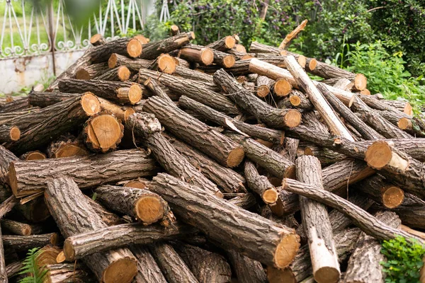 Felling a tree. Wooden logs from a pine forest, stacked in a forest. Forest of pine and spruce. Logging, logging, forest industry. Natural wood background. A pile of logs. Deforestation.