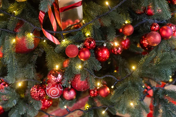 クリスマスの背景 トウヒの木の赤ちゃんと枝 — ストック写真