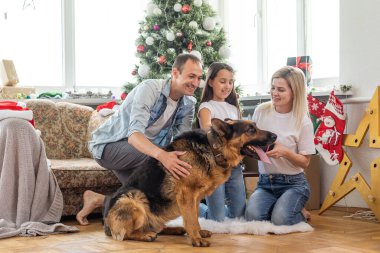 Mutlu Noeller ve mutlu yıllar. Köpekli mutlu aile evde güzel bir Noel ağacının yanında oturmuş yeni yılı bekliyor.