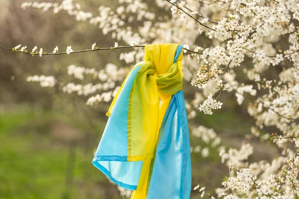 Frühling Blühende Bäume Mit Blumen Vor Dem Hintergrund Der Flagge — Stockfoto