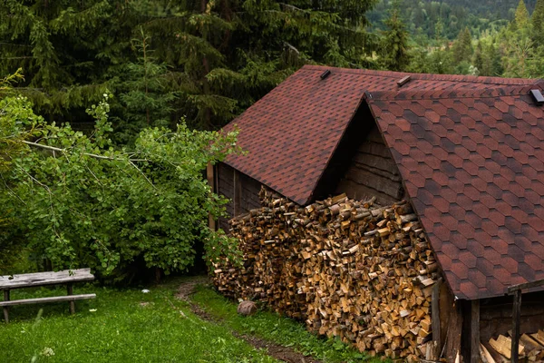 堆积起来的木柴和干树枝 燃炉柴火 收集木柴过冬 砍倒老树 — 图库照片