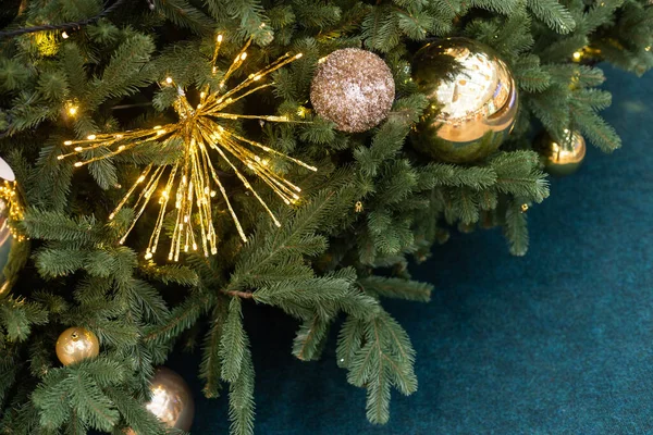 圣诞背景 灌木和云杉树枝 — 图库照片