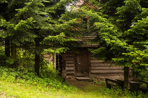 Ξύλινο Σπίτι Στο Δάσος — Φωτογραφία Αρχείου