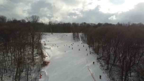 Skiing Sport Winter Snow Trees Forest Covered Show Cold Winter — Stock Video