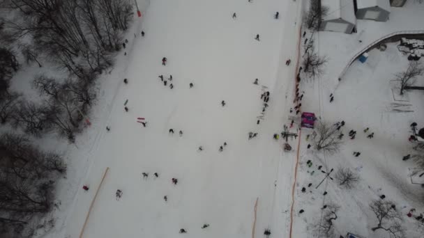 滑雪运动 森林里的树木布满了斑斑 寒冷的冬雪天气 滑雪场 乌克兰 — 图库视频影像