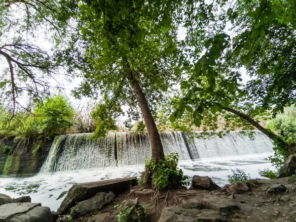 Tree between waterfalls .Small waterfall in park.