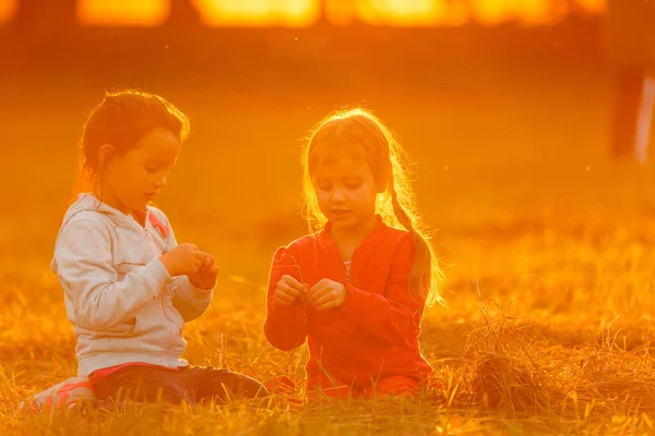 Entzückende Kleine Mädchen Haben Spaß Beim Spielen Freien Einem Sommertag — Stockfoto