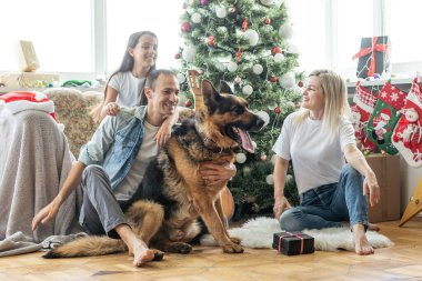 Dostu aile ile Noel ağacı yakınındaki köpek oynuyor. Onlar oturan ve gülüyor.