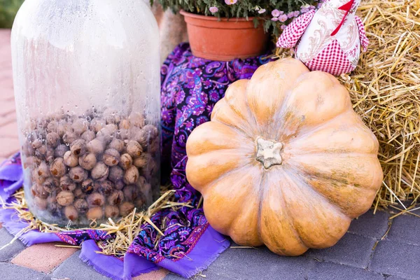 Yellow Orange Pumpkins Fair Pumpkins Baskets Boxes Many Different Pumpkins — Stock Photo, Image