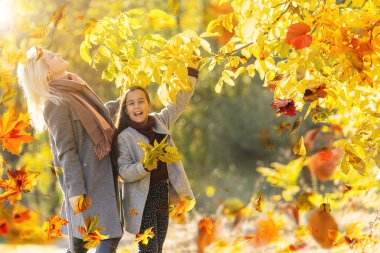happy family: mother and child little daughter play cuddling on autumn walk in nature outdoors. High quality photo