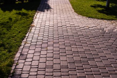 Sonbaharda parkta kaldırım taşı yolu ve arka planda yeşil ağaçlar.