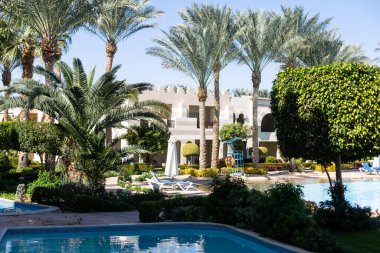 Yüzme havuzu, güneşlik, su yüzeyi..