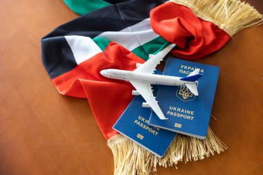 Ukrayna pasaportu, BAE bayrağı. oyuncak uçak