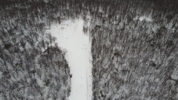 Skidåkare Och Snowboardåkare Åker Skidor Snöbackar Med Skidlift Helgen Drönaren — Stockvideo