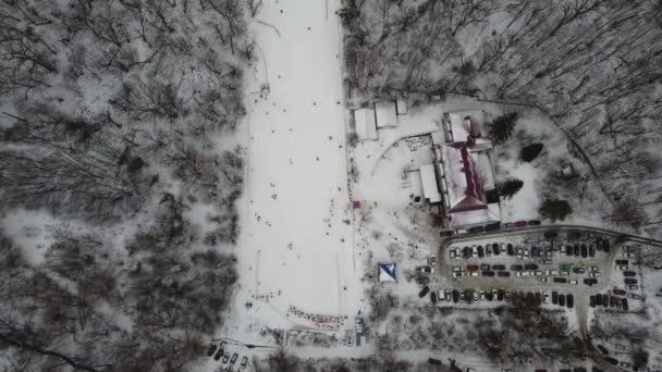 Drönarvy Backen Skidorten Skog Och Skidbacke Från Luften Vinterlandskap Från — Stockvideo